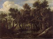 Jacob van Ruisdael Marsh in a Forest oil painting artist